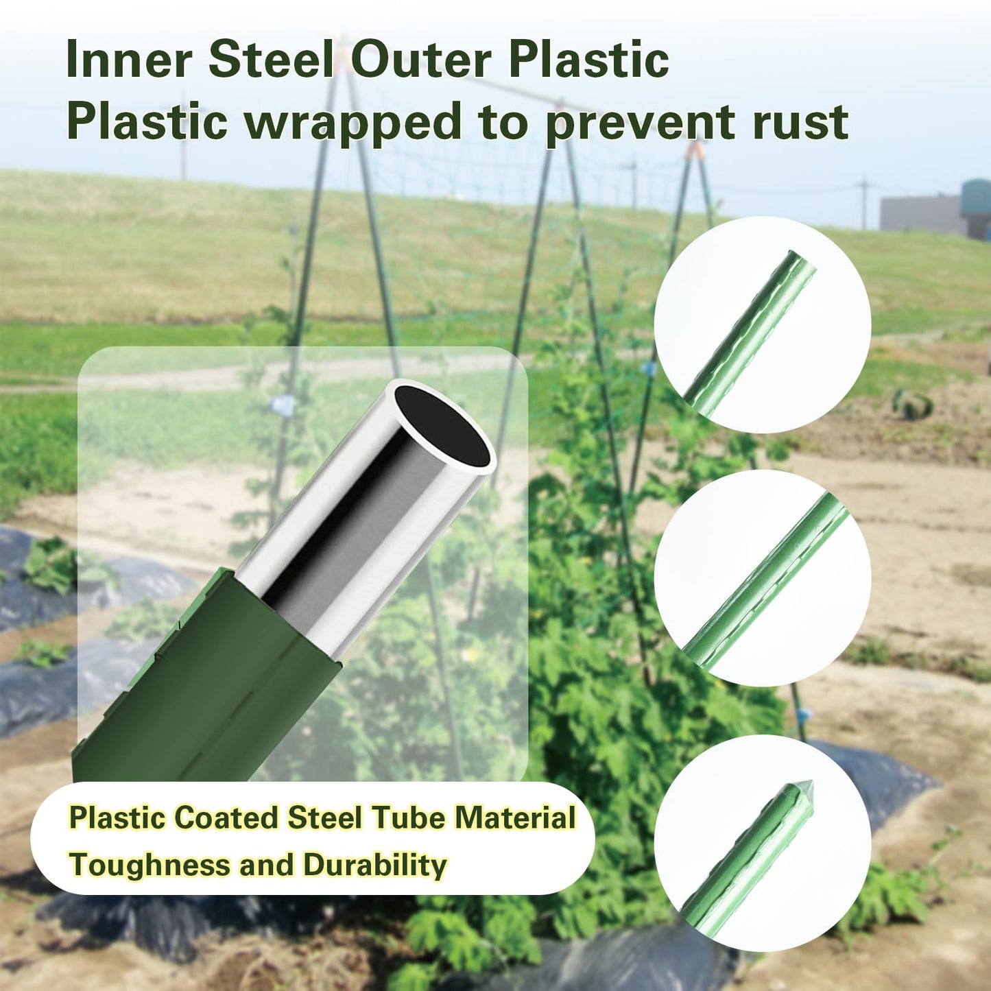 Sprigra Plant Stakes 6ft, Steel Garden Stakes 6 Feet 25 Pack, Sturdy Plant Support for Climbing Plants, Tomatoes, Beans, Cucumbers, Peppers, Flowers, Potted, Strengthen and Stem to Grow Better