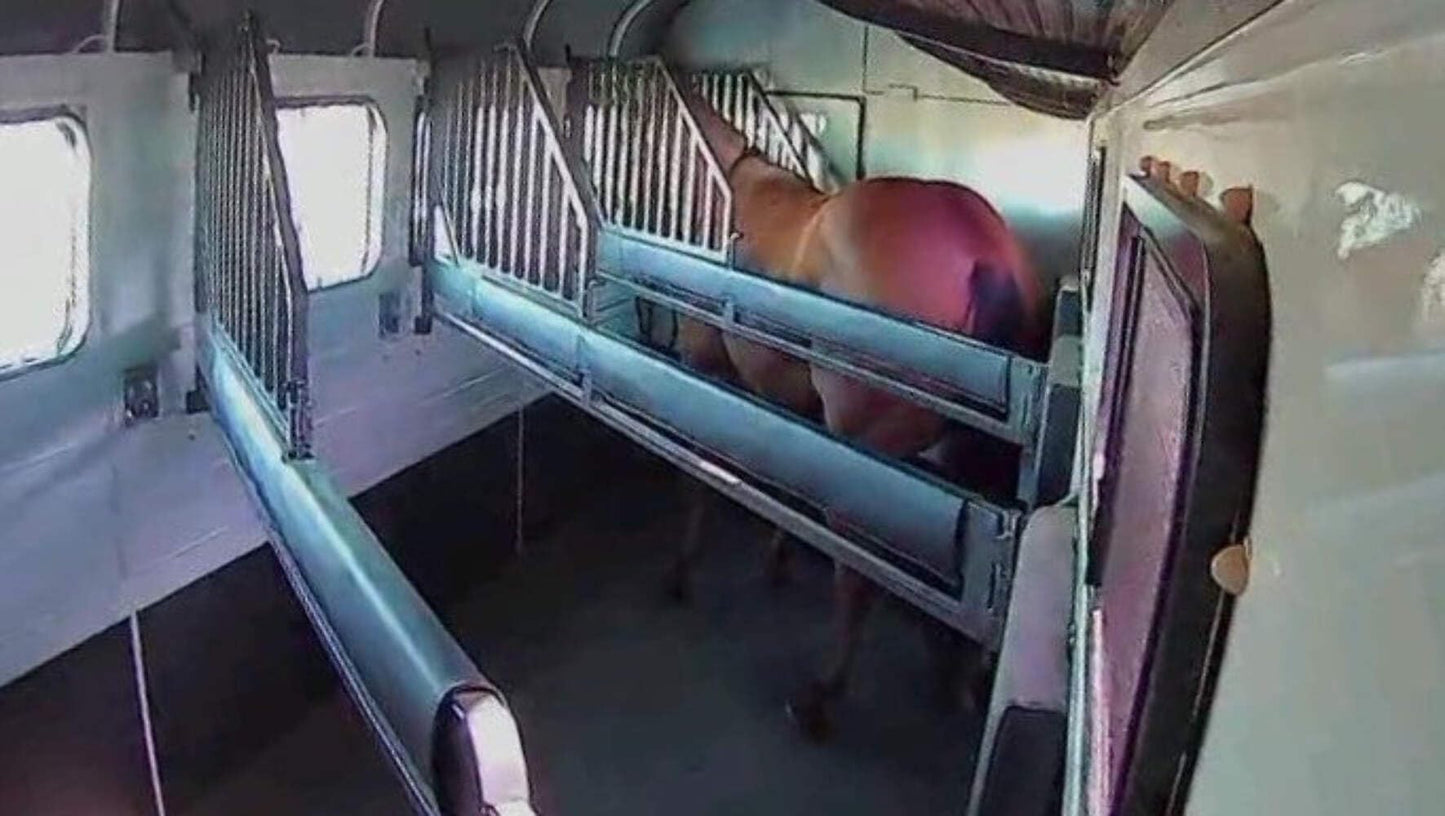 Equine Eye Voyager - Wireless Horse Trailer Camera – Live Video to Your Mobile with Night Vision, Audio - 8 Hours Battery Life - No Cell Signal Needed - Compatible with iPhone & Android Devices