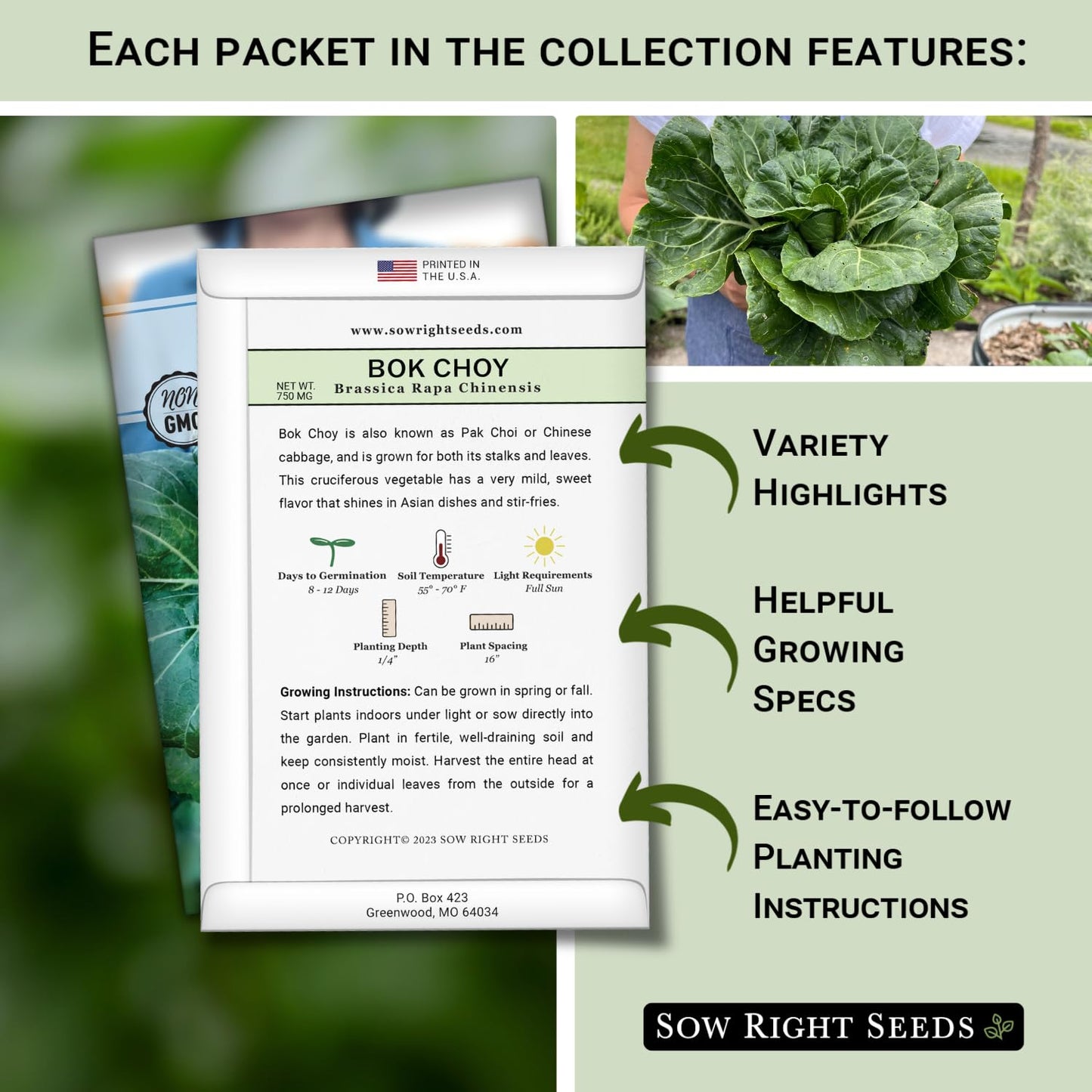 Sow Right Seeds - Hydroponic Vegetable Seeds for Planting - Lettuce, Kale, Arugula, Pak Choi, Watercress & Cherry Tomato Seeds for Planting and Growing Hydroponics - Perfect for Indoor Growing System