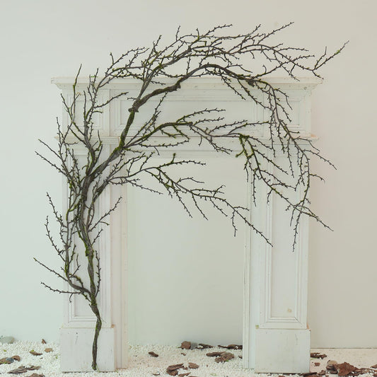 190cm/74.8inch Artificial Creepy Flexible Tree Branches Faux Grape Vines Garland Twigs with Moss Wood Craft for Halloween Door Wall Hanging Cottage Haunted Mansion Theme Outdoor Mantel Decoration (1)