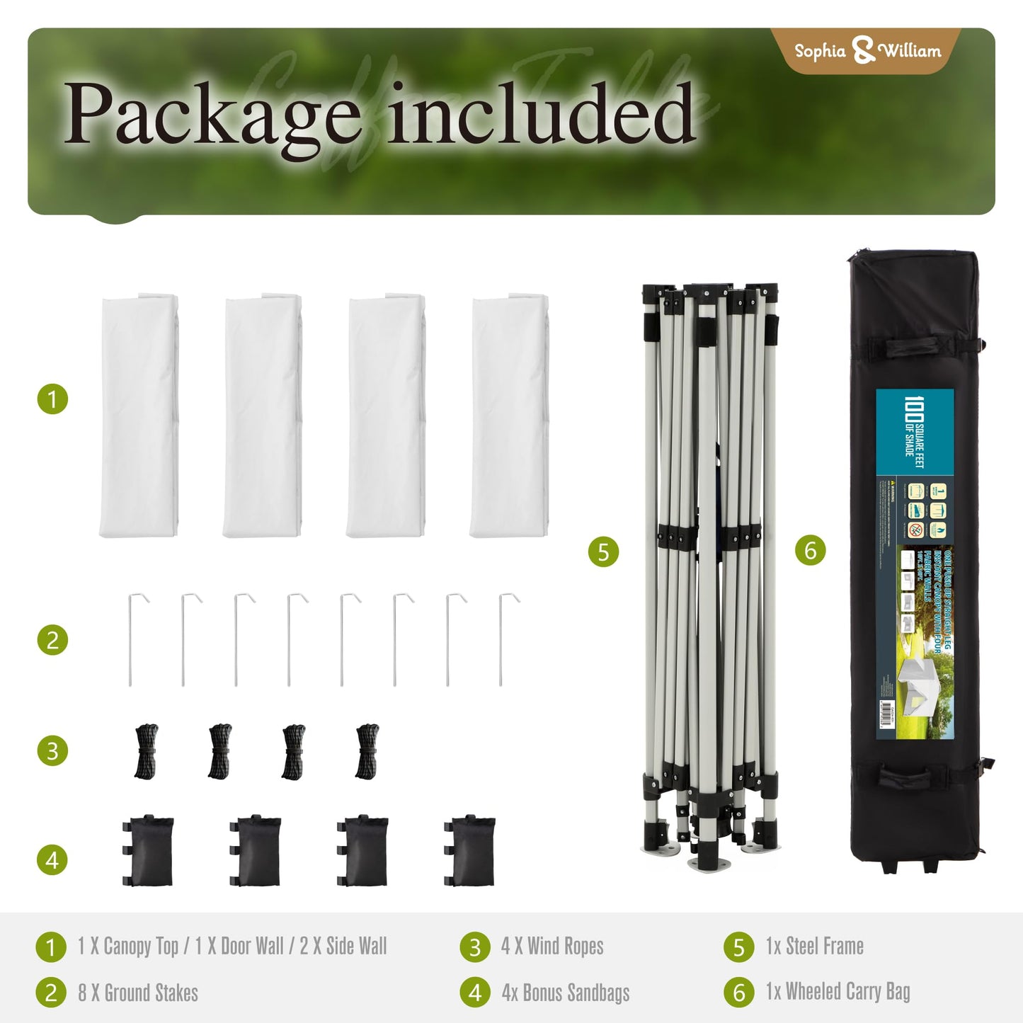 Sophia & William Canopy Tent Pop Up 10x10 ft One Person Push Set Up Canopies with 4 Sidewalls, Outdoor Shelter Heavy Duty Straight Legs with 4 Sandbags & 1 Roller Bag, 8 Stakes & 4 Guy Ropes, UPF50+