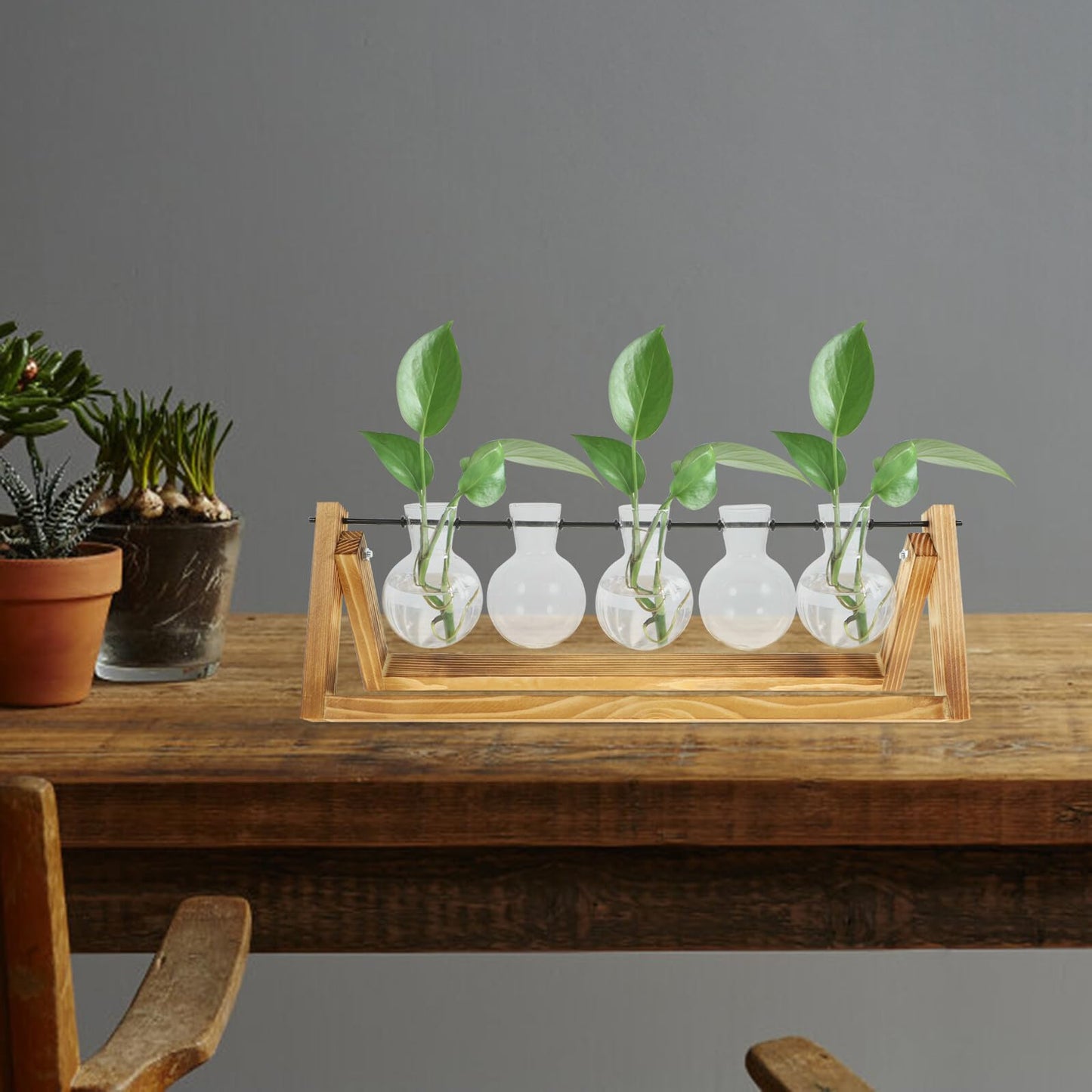 HAKIDZEL Hydroponic Glass Plant Propagation Bottles Set with Wooden Stand, Small Glass Vases for Flowers and Terrarium Planter Home Décor, Desktop Water Propagation Station for Indoor