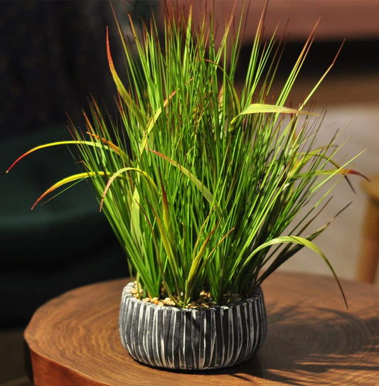 AlphaAcc Artificial Plants Decor Greenery Fake Succulents Indoor Potted Fake Plant with Rustic Black Clay Planter for Farmhouse Room Bathroom Bedroom Kitchen Office Table Desk Decor