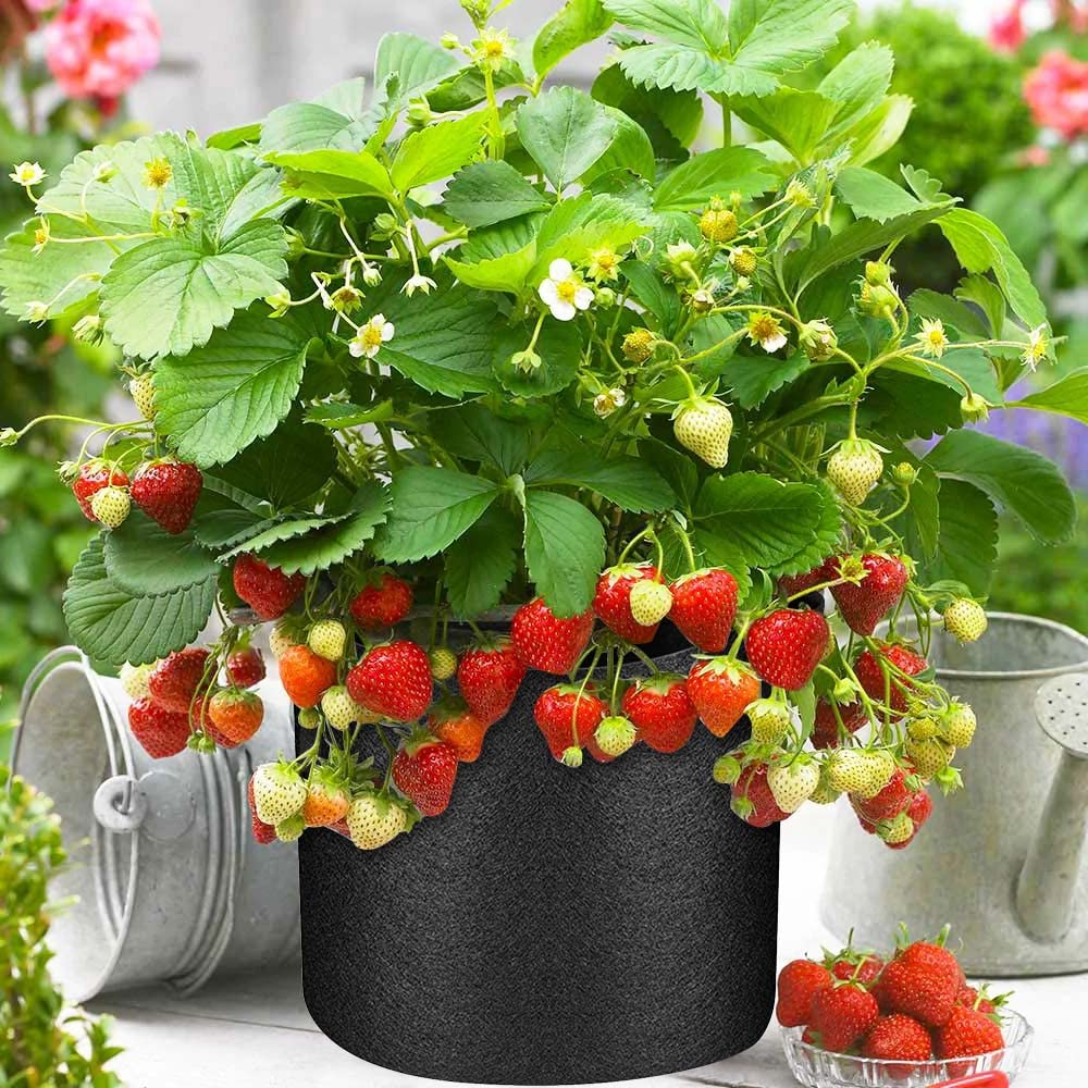 Airsnigi 50 Pack 10 Gallon Grow Bags Bulk, Heavy Duty Thickened Fabric Pots Nonwoven Plant Bags with Handles, Breathable Plant Growing Containers Bags for Nursery Garden Fruit Vegetable Flower