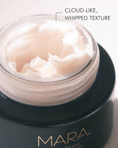 MARA - SeaDream Firming Algae Creme Moisturizer with Sea Moss + Peptides | Rich, Overnight, Anti-Aging Cream to Firm, Hydrate + Plump, For All Skin Types (1.7 fl oz | 50 ml)