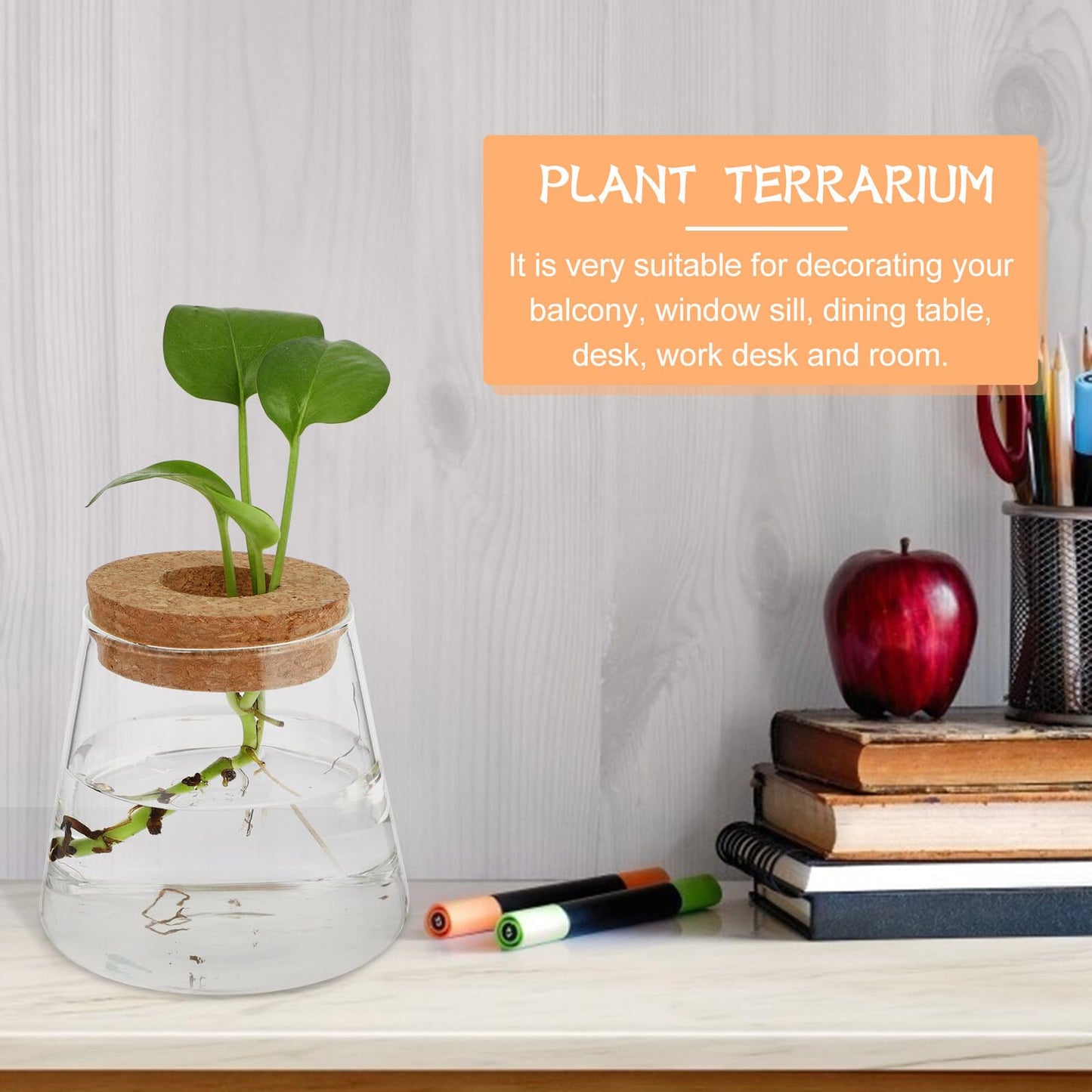 Uonlytech 2pcs Glass Hydroponic Plant Vase Set, 6.5cm Mouth Diameter Glass Planter Pots for Indoor Garden, Office Desk Terrarium, Hydroponics Growing Jar for Home Décor