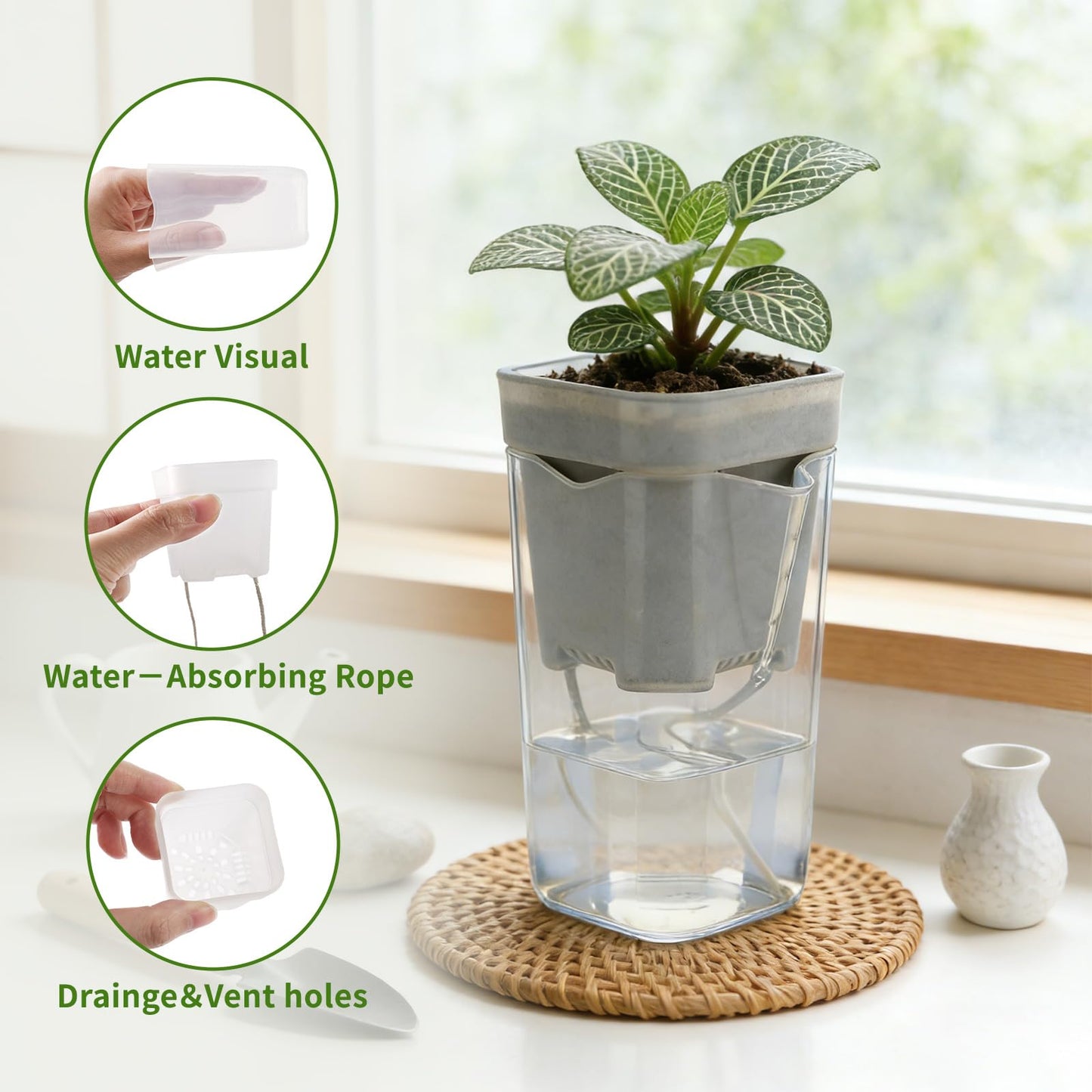 20 Pack 2.5“ Mini Self Watering Pots for Indoor Plants, Small Clear Plastic Planters with Water Level Indicator & Drainage Holes, Perfect for Alocasia Corm Propagation, Seedling, Cuttings (20, 2.5“)