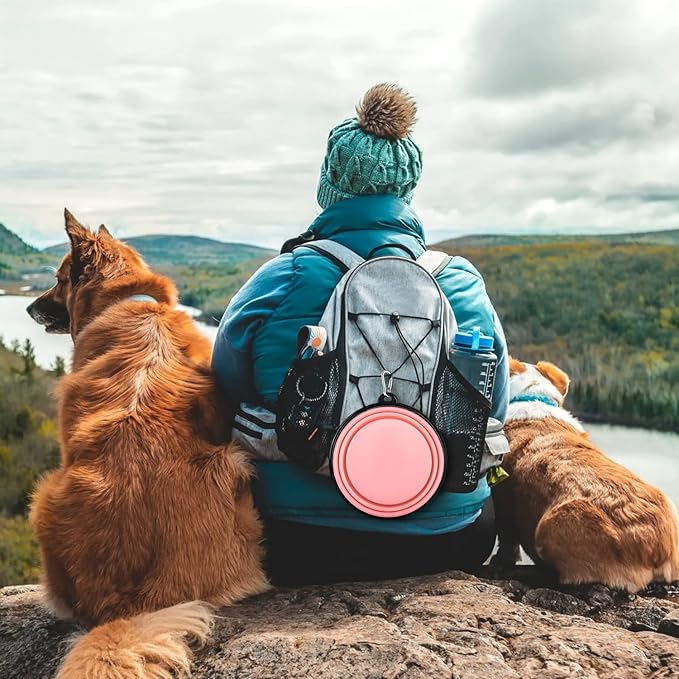 Collapsible Dog Bowls-2 Pack Large Size for Large/Medium Dogs, Pet Travel Water Bowl, Dogs Cat Portable Water Bowl, Dog Pet Feeding Watering Dish Outdoor Hiking Parking Traveling with 2 Carabiners
