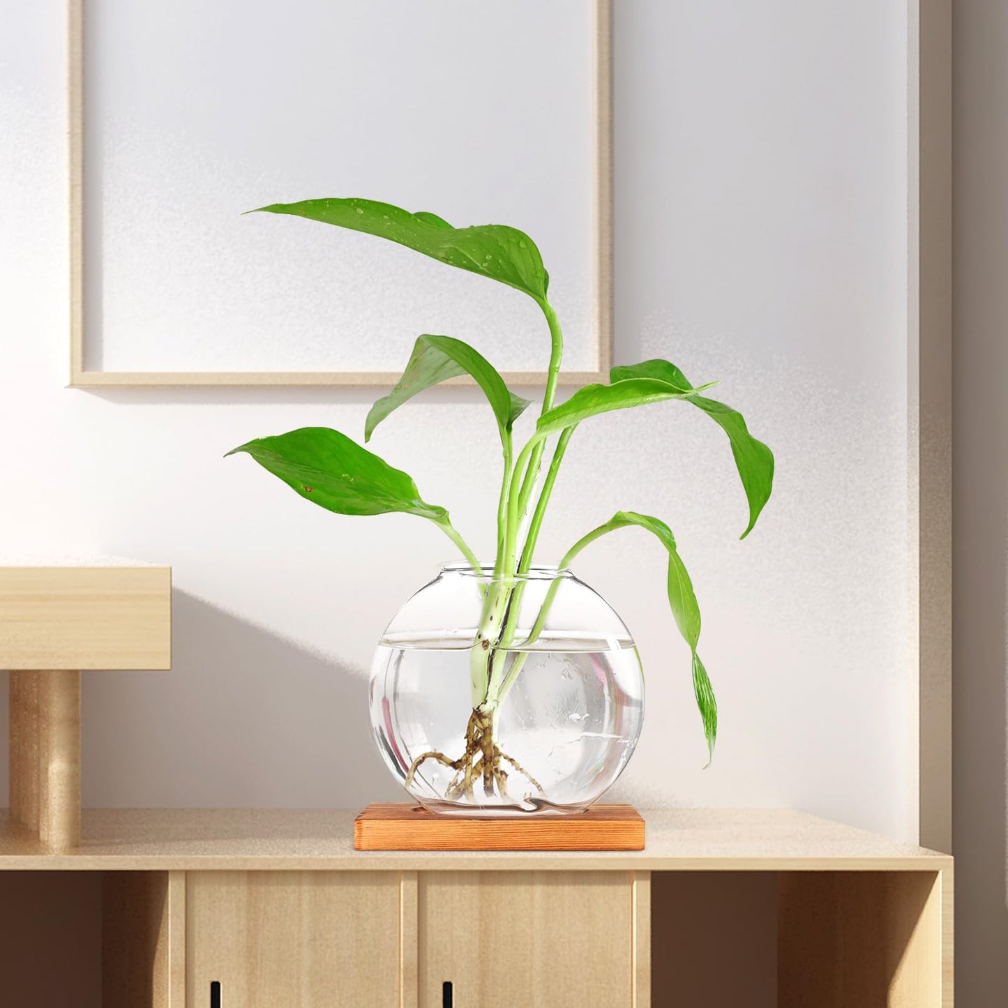 TOKIDNY Glass Plant Vase with Retro Wooden Base for Hydroponic Green Vine Propagation, Home and Office Decorative Flower Bottle Terrarium, Desktop Hydroponic Planter for Living Room
