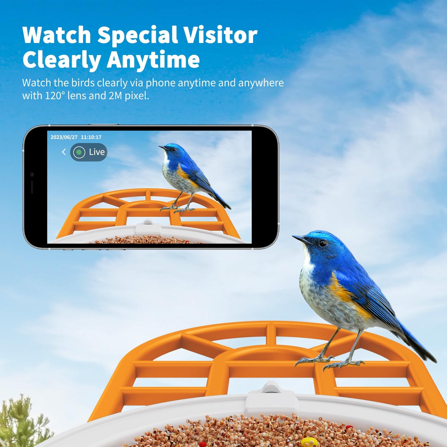 HARYMOR Bird Feeder with Camera with AI Identify Birds Species Solar Panel, Live View, Instant Arrival Alerts
