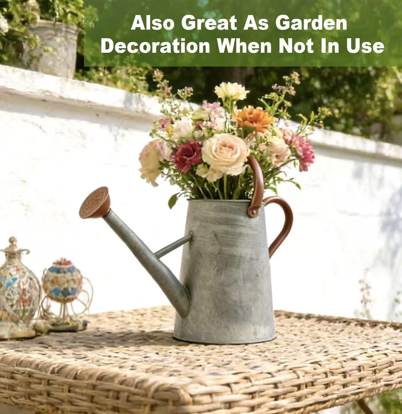Watering Can for Outdoor&Indoor Plants，1.5 Gallon（5.7L） Metal Watering Can with with Removable Spout，Large Galvanized Steel Garden Flower Water Can Watering Pot with 2 Handles，Rustic Silver