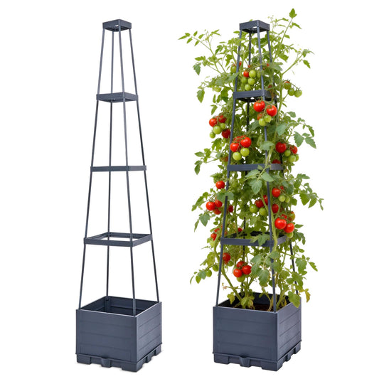 2 Packs Tomato Planter with Trellis, 56" Tomato Cages for Indoor & Outdoor Climbing Plants, Self Watering Vertical Garden Bed Plant pots for Garden Patio