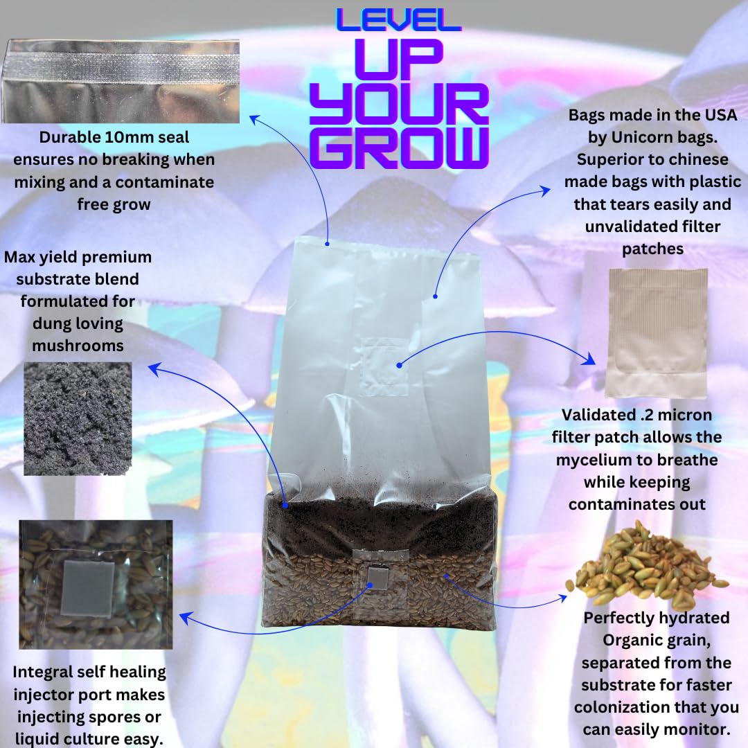 Jumbo 6 Pound Magic All in One Mushroom Grow Bag