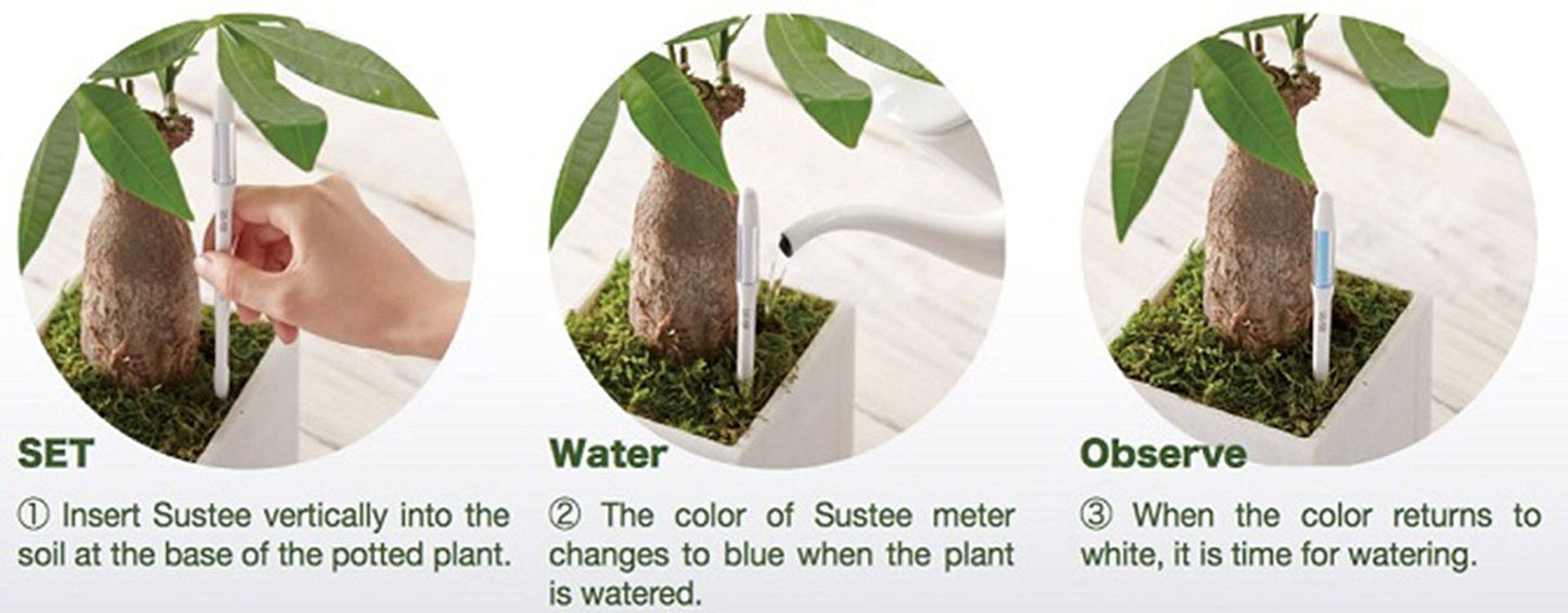Sustee Aquameter, White, Medium, Set of 2 - Soil Moisture Meter for Potted Plants - Plant Water Sensor (Refillable Style)