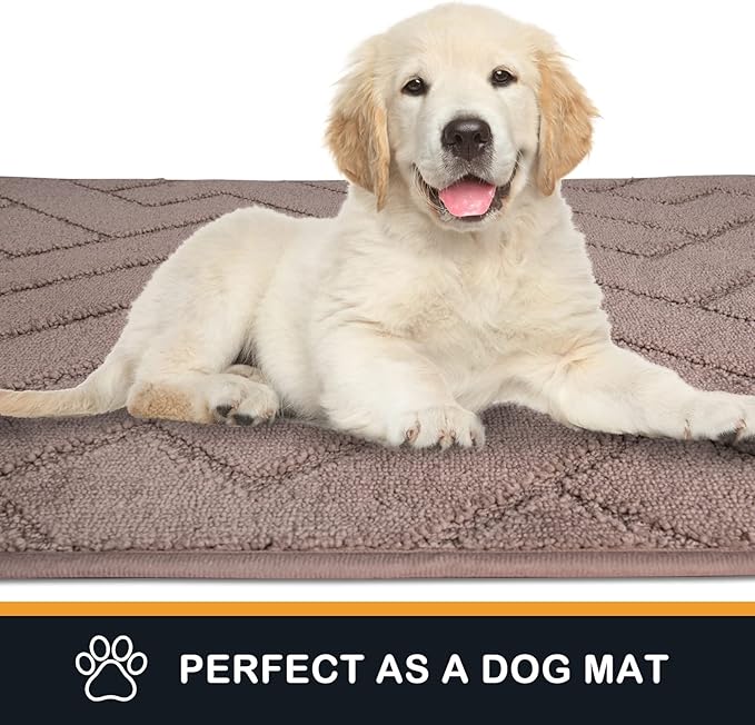 PURRUGS Dirt Trapping Door Mat 24" x 35.5", Non-Slip Machine Washable Entry Rug, Dog Doormat, Indoor Front Door Mat, Super Absorbent Entryway Rug for Muddy Shoes & Paws, Grayish Brown