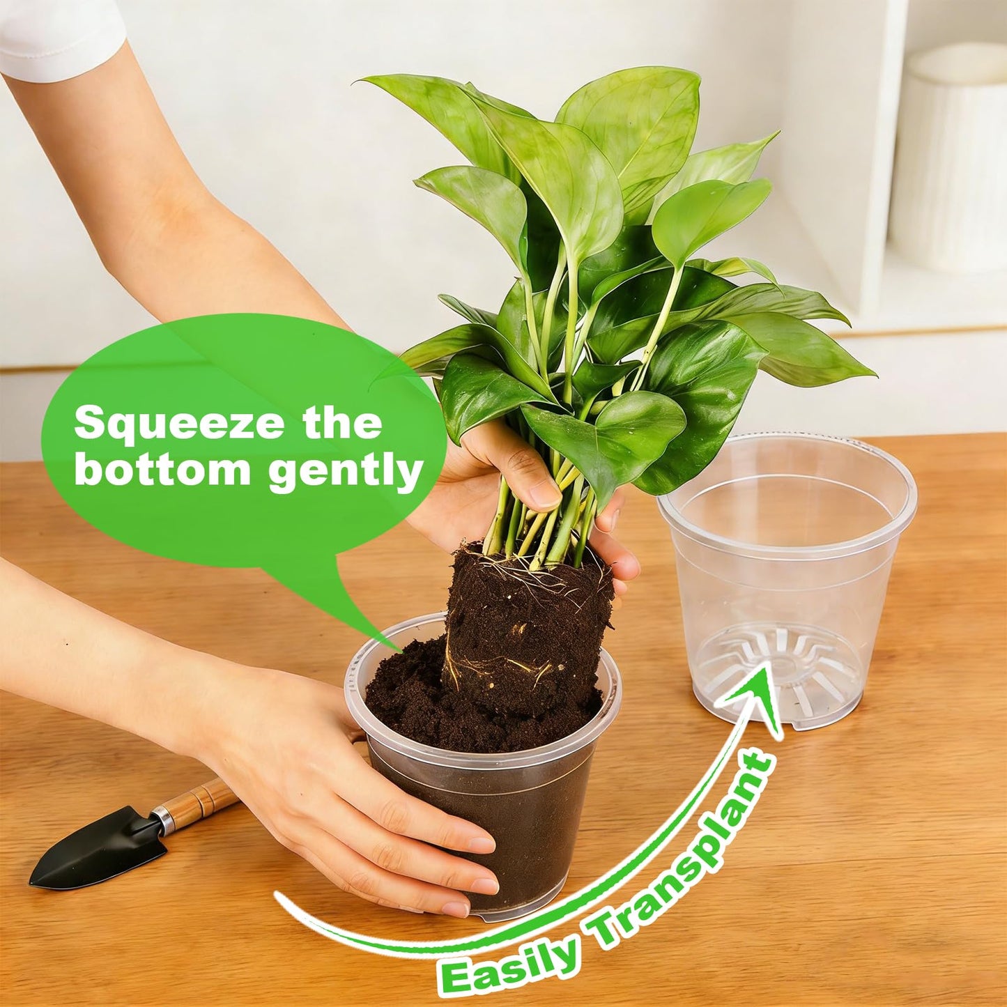 15 Packs Clear Nursery Pots with Drainage for Plants,6.8/6.7/6/5/4.5 Inch High Transparency Plastic Plant Pot Seedling Planter with 3 Decor Planters and Gardening Tools,Reinforced and High Hardness