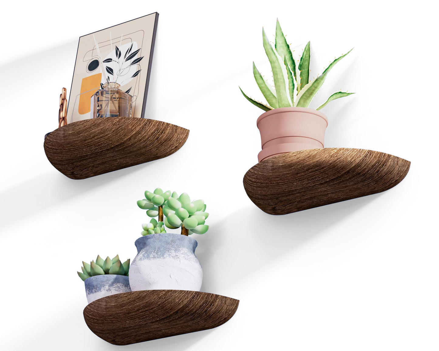 SoaShower Solid Wood Half Round Rustic Floating Shelves, Natural Wood Wall Shelves, Elevate Your Space. Perfect for Living Rooms, Bathrooms, Bedrooms, Offices, Children's Rooms,Pictures Plants Books