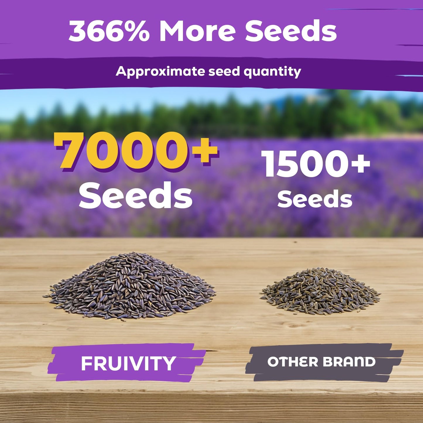 5500+ English Lavender Seeds for Planting Outdoor Heirloom Lavandula Flower Seeds High Germination Fragrant Purple Flowers Indoor Easy to Grow (0.55 oz)