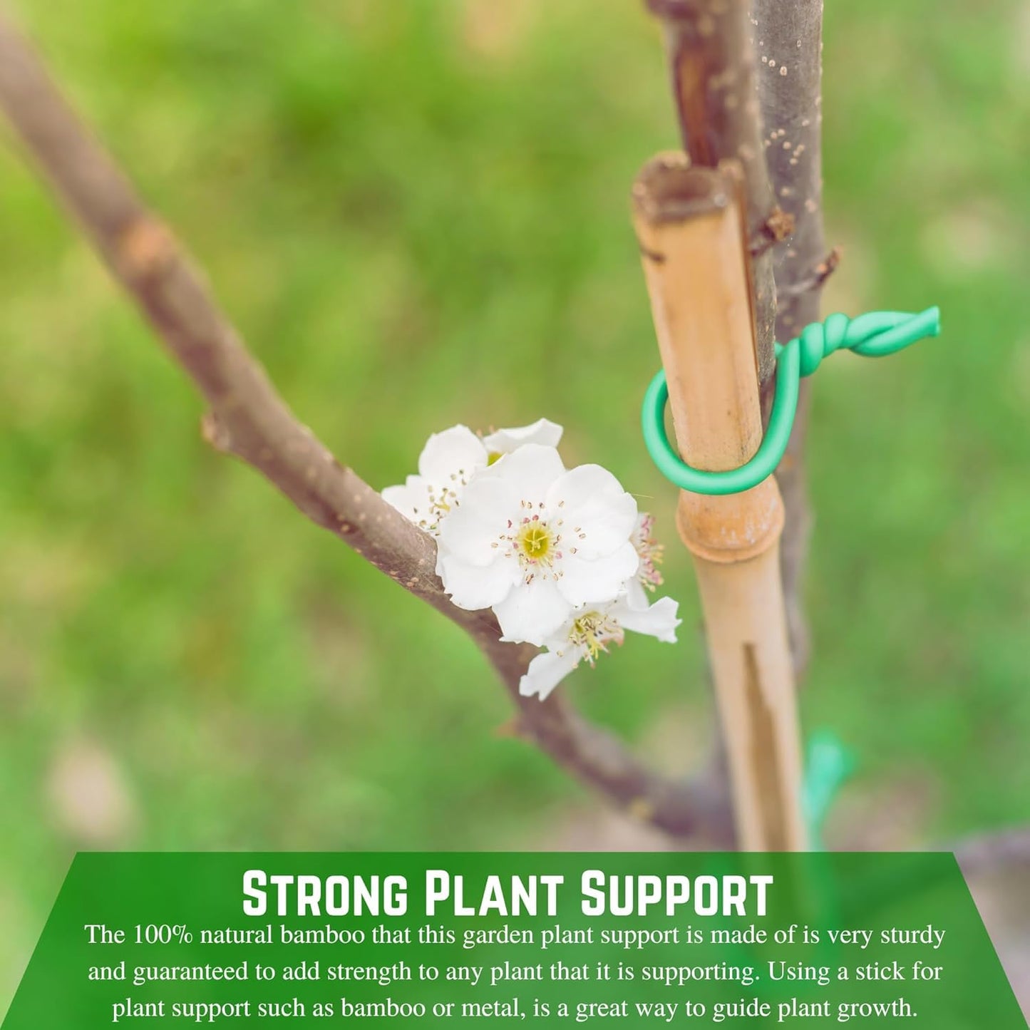 Farm Plastic Supply - Bamboo Garden Stakes - Bambo Sticks, Bamboo Plant Stakes for Outdoor Plants, Plant Support Stakes for Indoor Plants (4 Foot, 100)