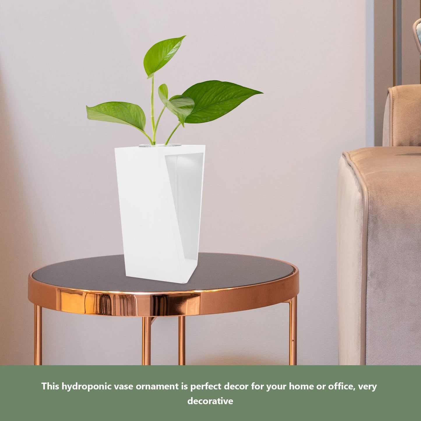 GALPADA Wooden Frame Test Tube Glass Vase for Small Terrarium Plants, Hydroponic Propagation Station with White Holder, Glass Desk Planter for Indoor Plant Cuttings and Home Décor