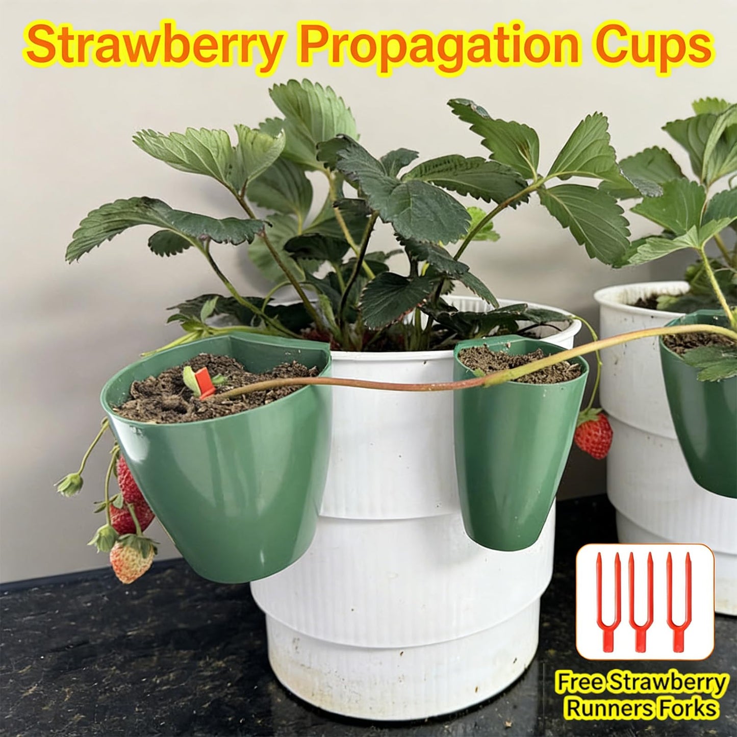 Kangnice Garden Trays Tool for Strawberry Runners Featuring Breathable Cups and Runner Forks to Enhancing Survival Rate and Growth Drainage Planting Cups