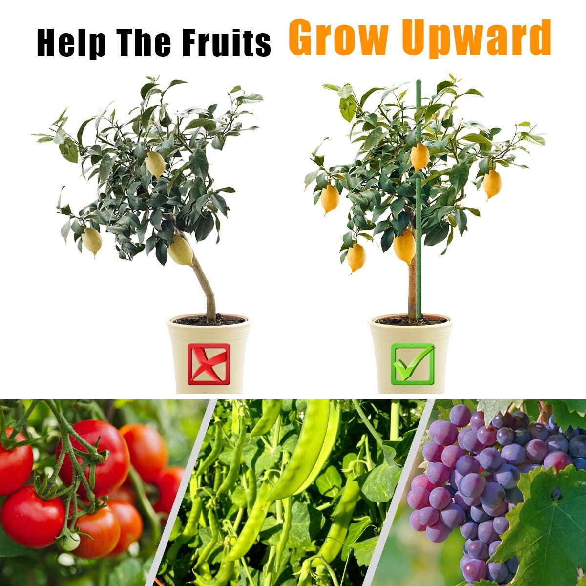 LAVEVE Garden Stakes 67 Inches Heavy Duty Steel Tomato Stake, Plastic Coated Support for Securing Trees, Climbing Plants, Cucumber, Beans, Pack of 20