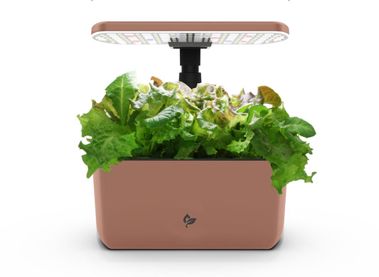 AeroGarden Harvest Lite in Mocha, Soil-Free Indoor Hydroponic Garden with LED Grow Light for Year-Round Gardening of up to 6 Herbs and Vegetables