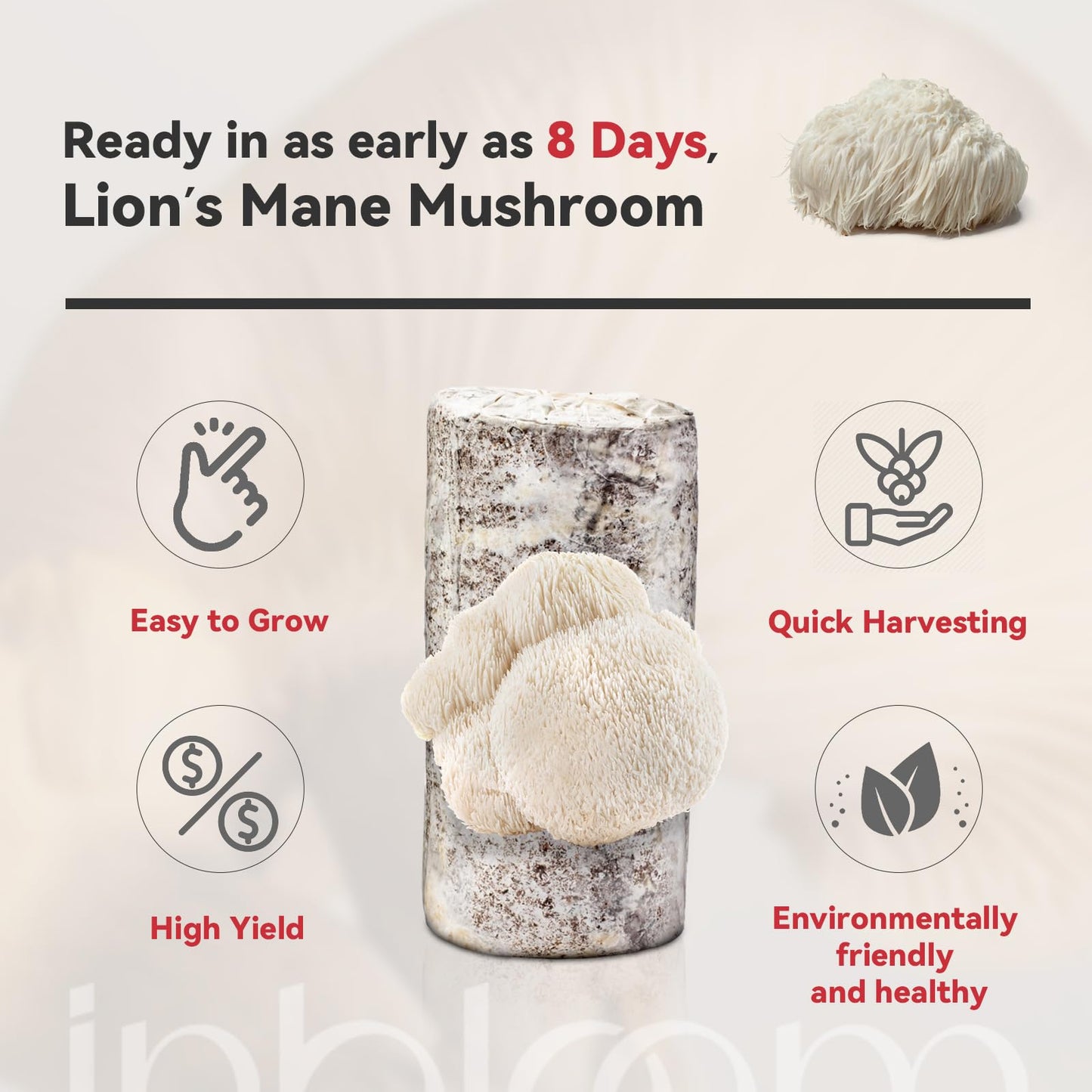 inbloom Organic Lion's Mane Mushroom Growing Kit with Spray, Harvest Fresh Mushrooms at Home, Beginner Friendly & Easy to Use, Unique Gardening Gift for Holiday, Handmade in New Jersey, USA