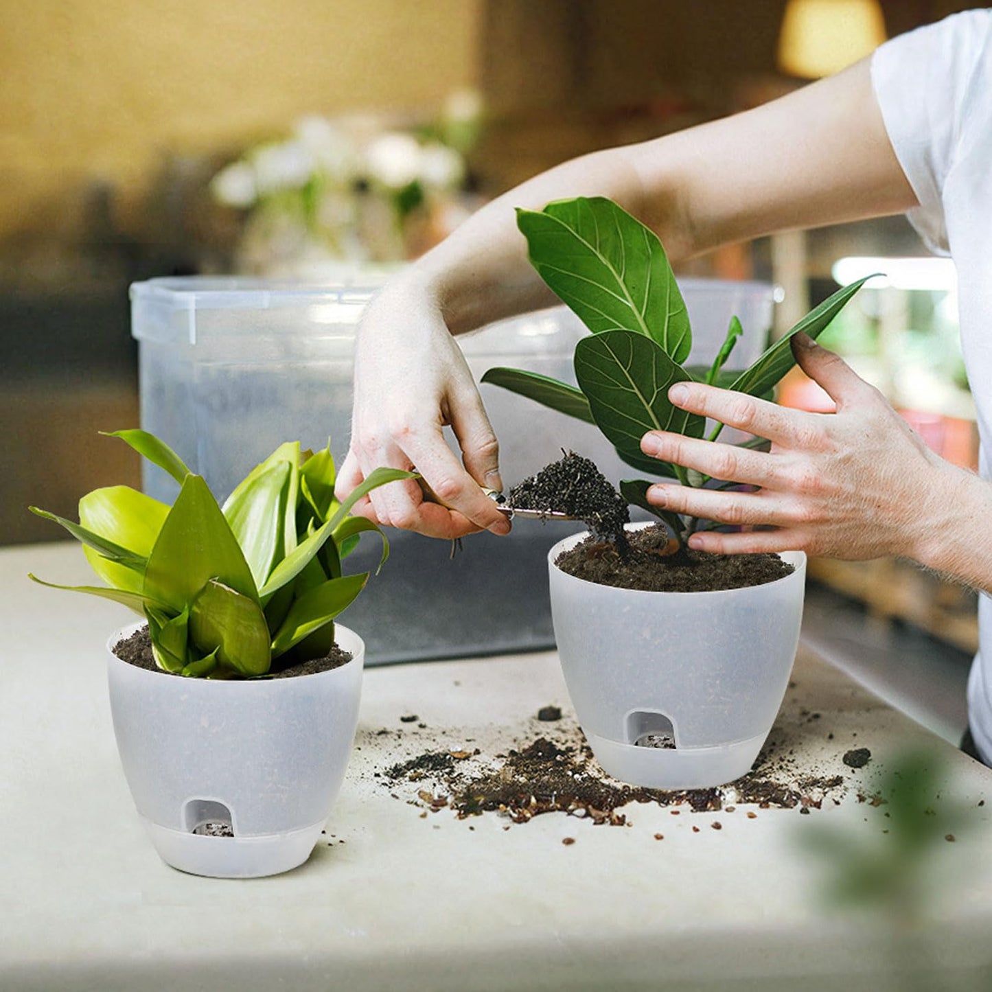 IWNTWY Self Watering Pots Set, 5 Pack 6 Inch Self Watering Pots for Indoor Outdoor Plants, Plastic Planter with Drainage Holes and Deep Reservoir for African Violet, Spider, Orchid