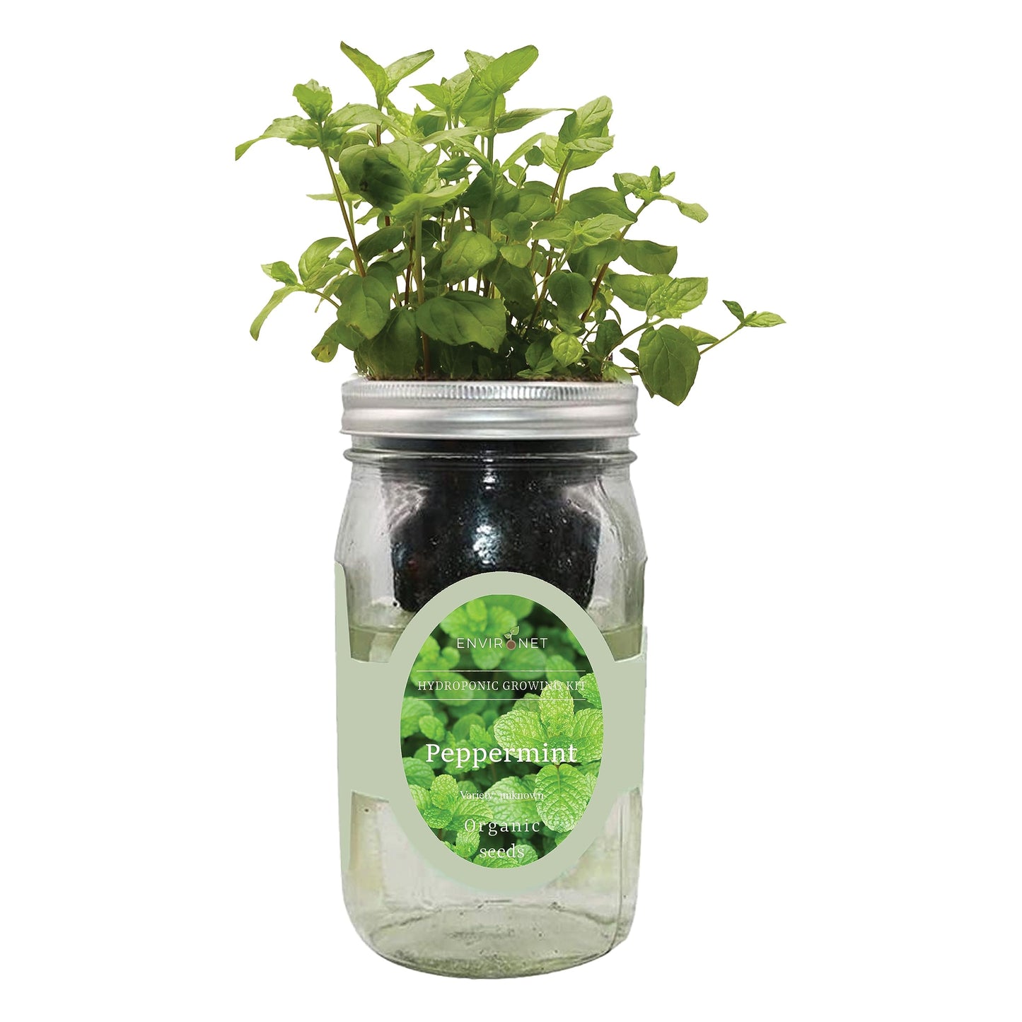 Environet Hydroponic Herb Growing Kit, Self-Watering Mason Jar Herb Garden Starter Kit Indoor, Grow Your Own Herbs from Seeds (Peppermint)