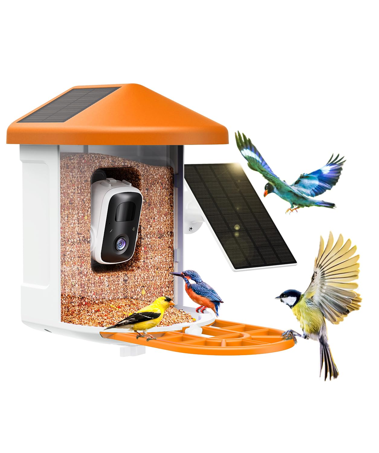 HARYMOR Bird Feeder with Camera with AI Identify Birds Species Solar Panel, Live View, Instant Arrival Alerts