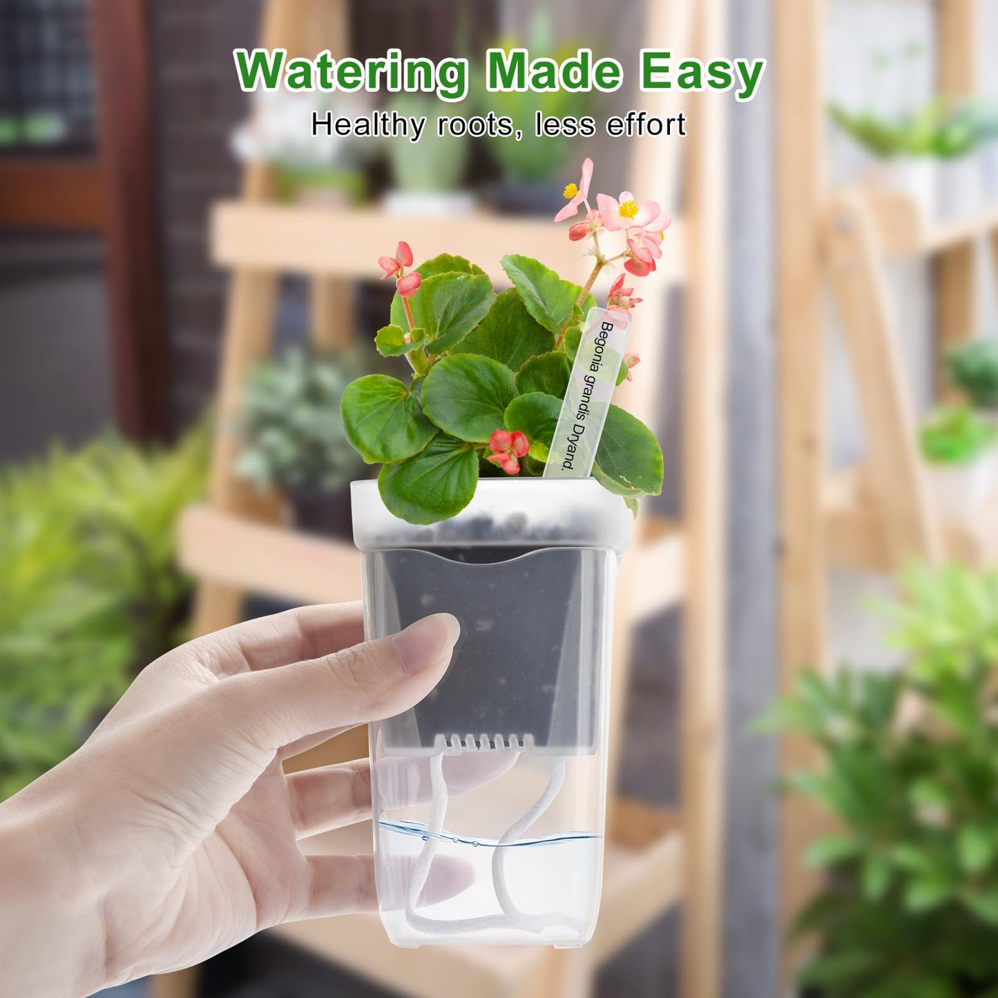 12PCS Mini Self Watering Pots for Indoor Plants - 2" Small Clear Planter with Wicks & Water Level Indicator, Plastic Automatic-Watering Pot for African Violet, Succulent, Alocasia, Hoya, Plant Label