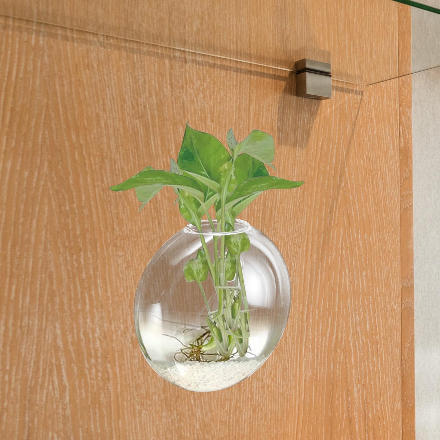 Cabilock Wall Hanging Glass Planter Vase for Hydroponics Plants, Small Glass Plant Holder, Indoor Decorative Hanging Terrarium for Home and Office