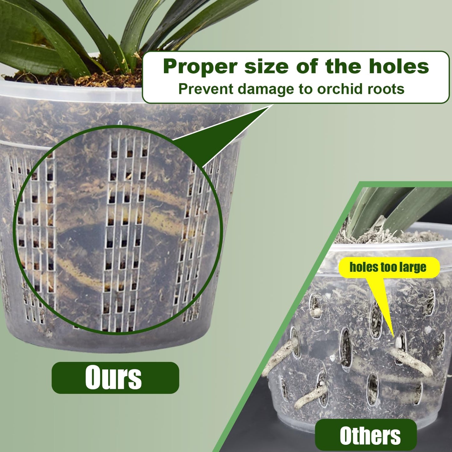 Orchid Pot with Saucers, 2 Each of 4.3",5.5",6.1" Orchid Pots with Holes, 6Pcs Clear Plastic Planter for Indoor Outdoor Plants (2 Each of 4.3,5.5",6.1" with Saucers)