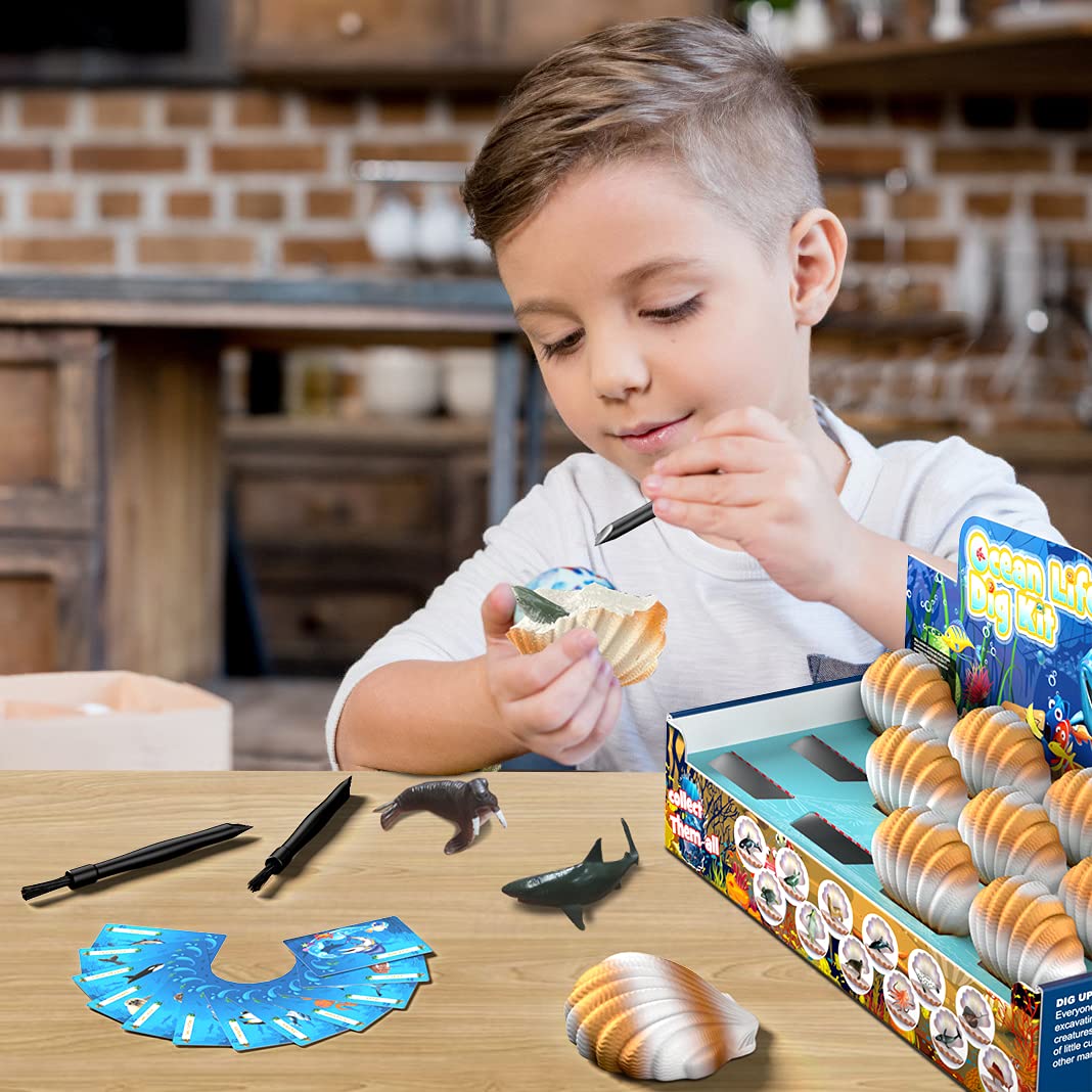 EARTH'SCODE Ocean Animals Dig Kit, Seashell Excavation Dig Bricks, Science Educational Gift for Kids