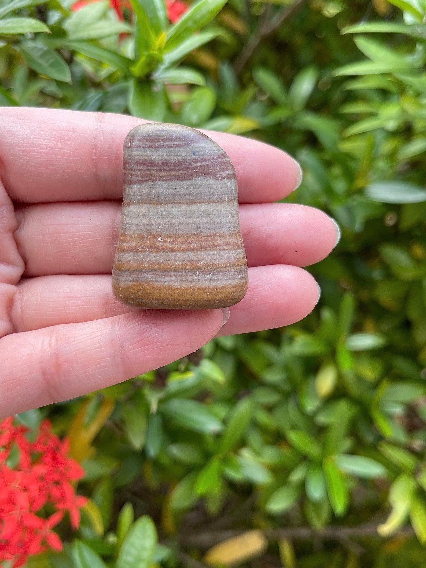 GAF TREASURES 5 Pcs Shiva Lingam Tumbled Stones, Polished Shiva Lingam Gemstone, Shiva Lingam Healing Crystals (Shiva Lingam)