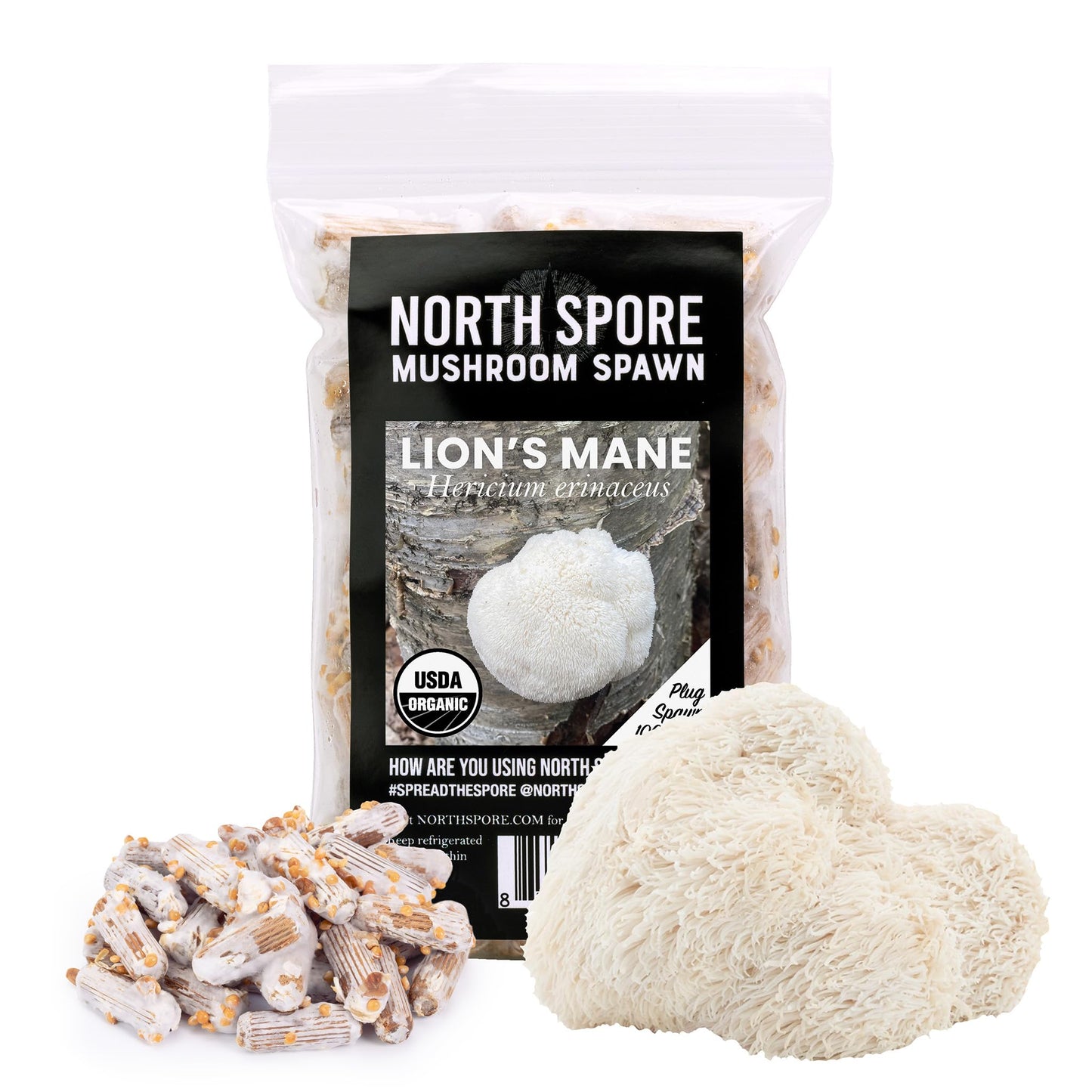 North Spore Organic Lion's Mane (100 ct) Mushroom Plugs for Logs | Premium Quality Mushroom Plug Spawn | Handmade in Maine, USA | Grow Gourmet Mushrooms Outdoors on Logs