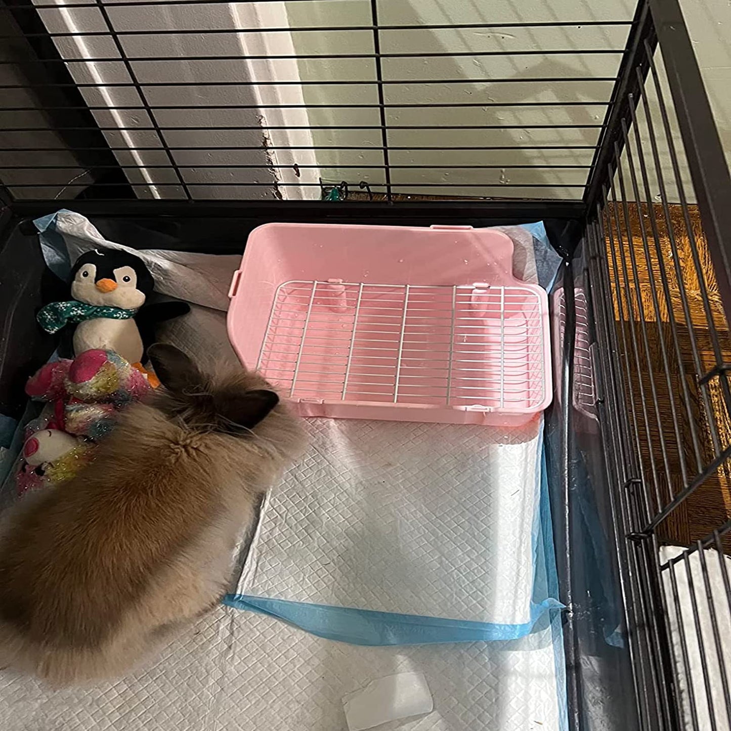MUYG Guinea Pig Litter Box Corner Bunny Toilet Small Animal Potty Training with Dustpan Broom Chew Toys for Chinchilla Ferret Hedgehog Gerbil (10 Pcs)