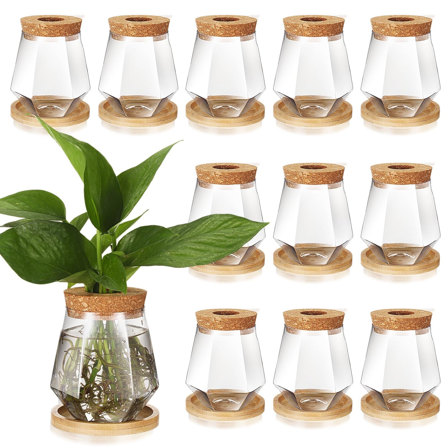 Baderke 12 Packs Propagation Vases for Plants Plastic Plant Propagation with Hole Lid and Bamboo Stand Growing in Water Hydroponic Home Office Desktop Vase Decoration (Cup Style)