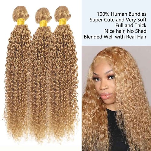 Fabimiya 22 24 26 Inch Human Hair Bundles Honey Blonde 27# Jerry Curly Bundles Human Hair 100% Unprocessed Soft Sewn In Hair with Double Weft for Black Women