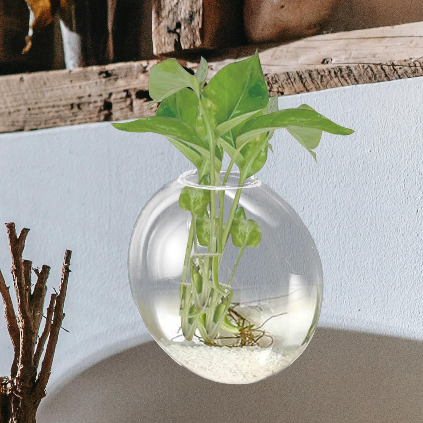 Beaupretty Wall Mounted Hydroponic Planter Vase, Glass Terrarium for Indoor Plants, Small Hanging Wall Vase for Home Décor, 1pcs