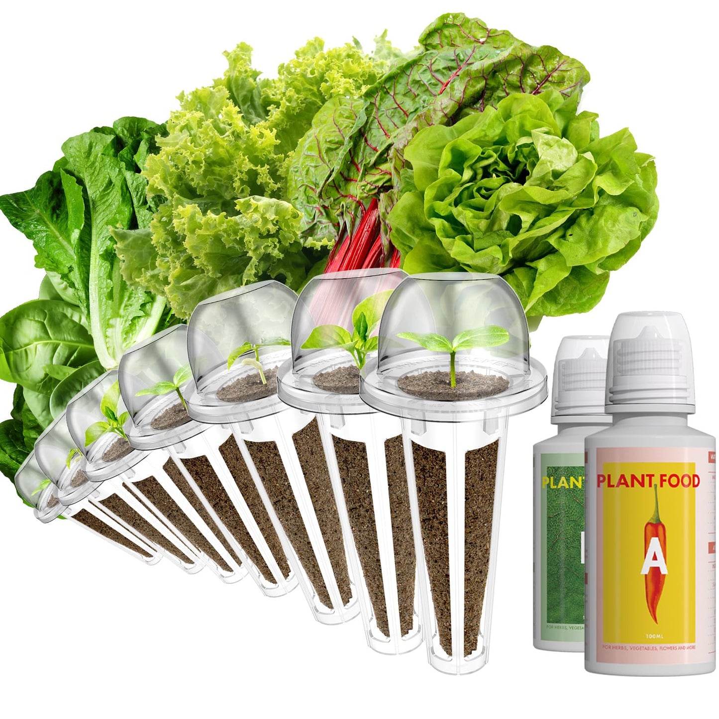 LYKOCLEAN Salad Buttercrunch Lettuce Seeds for AeroGarden, iDOO, Ahopegarden Hydroponics Growing System, 7-pods, 350+ Seeds (Include Spinach, American Fast Lettuce,Paris Island Lettuce, Cauliflower)