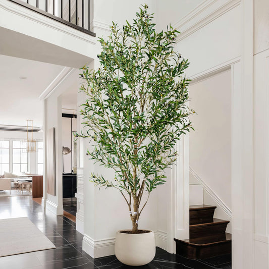 8ft Faux Olive Tree with White Pot & Moss, Artificial Olive Tree Indoor Outdoor, PE/PVC Leaves, Realistic Resin Trunk Large Fake Olive Tree Artificial Plants Indoor, Faux Plants Indoor for Home Decor