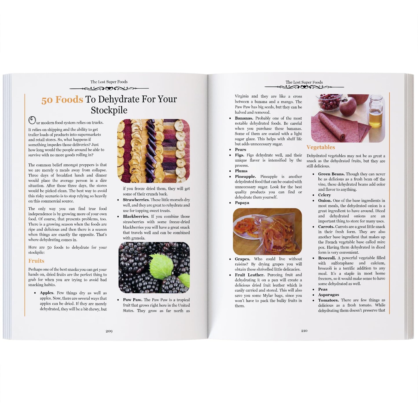 The Lost SuperFoods 126+ Survival Foods and Tips for Your Stockpile