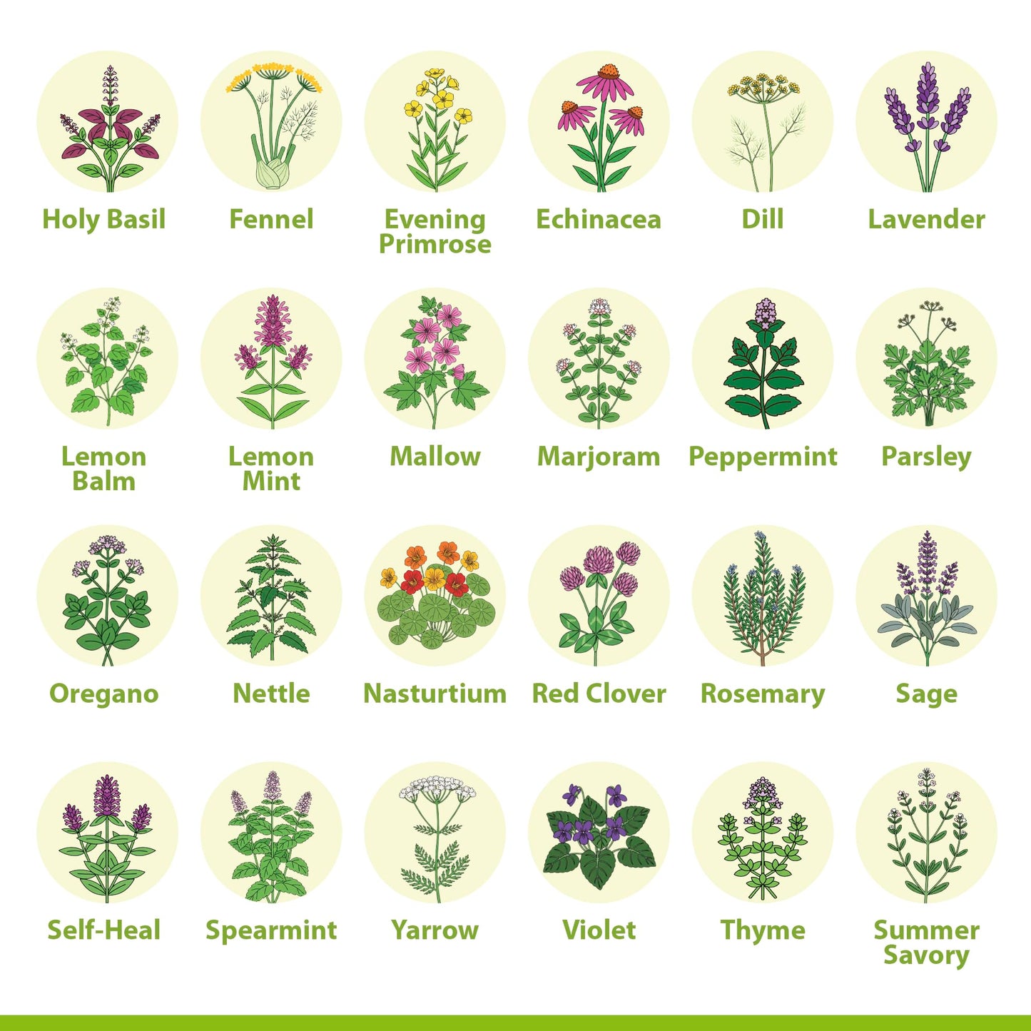 Medicinal Herb Seeds Variety Pack – 39 Heirloom Non-GMO Apothecary Seed Kit, Herbal Medicine & Tea Garden, Made in USA