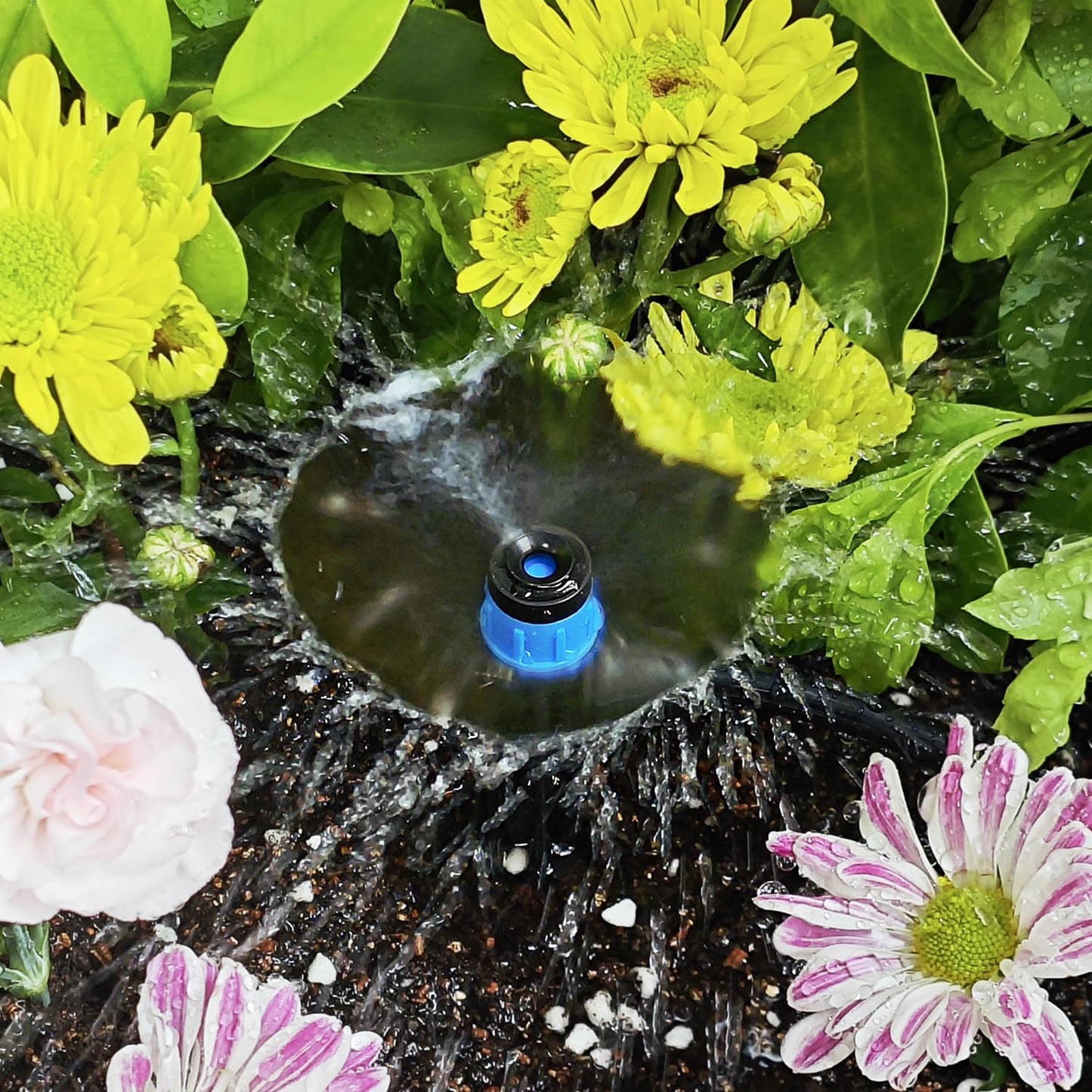 50pcs Drip Irrigation Emitters for 1/4" Drip Tubing Adjustable 360 Degree Fan Shape Water Flow Vortex Drippers for Drip Irrigation with Lock Barbed Irrigation Drip Nozzles for Flower Plants Garden