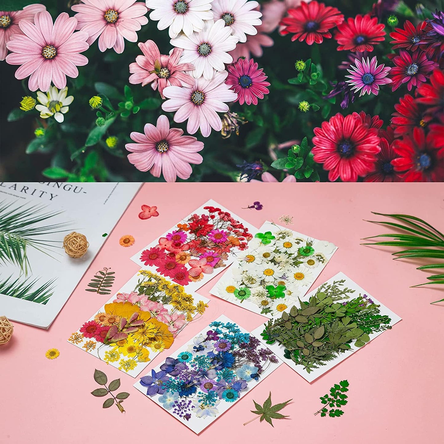 Dried Pressed Flowers, 170+ Pcs Mixed Dried Flowers for Resin, Bulk Natural Dry Floral Resin Fillers Decoration Accessories for DIY Crafts, Scrapbooking