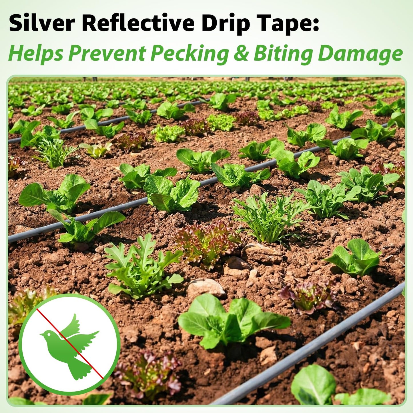 500FT 5/8" Drip Tape Irrigation, 16 Mil Heavy Duty with 6" Emitter Spacing, Silver Reflective Drip Tape Resistant to Pecking & Biting, Heat-Safe for Seedlings, Ideal for Garden Farm Greenhouse Patio