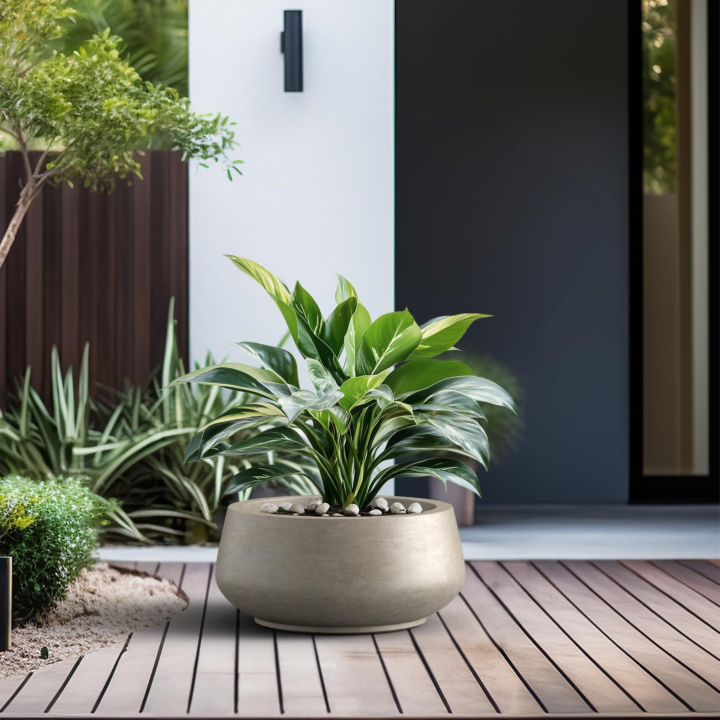Kante 12.6" Dia Round Concrete Bonsai Planters, Outdoor Indoor Garden Plant Pot with Drainage Hole for Home, Patio, Garden, Weathered Concrete Finish with Painted Interior