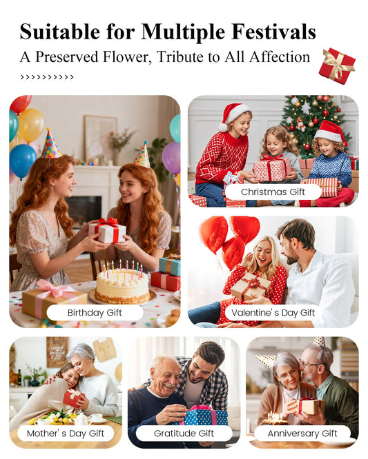Agrul Mothers Day Flowers Roses Gifts for Mom,Forever Preserved Flower Rose in Glass Dome Fresh Flowers for Delivery Mothers Day Roses Gifts for Wife Women Mom Grandma from Daughter/Purple Rose